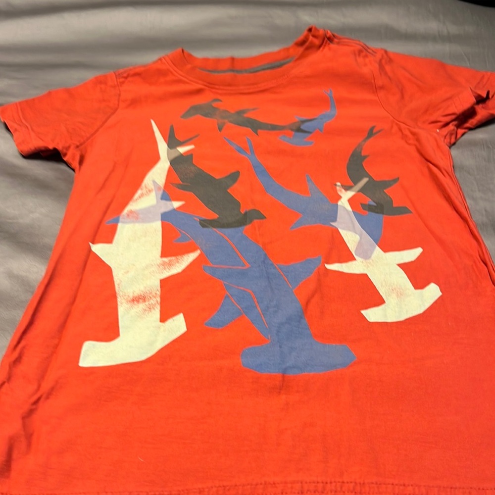 Tea Collection short sleeve shark tee